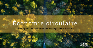 Economie circulaire : opportunité pour les entrepreneurs