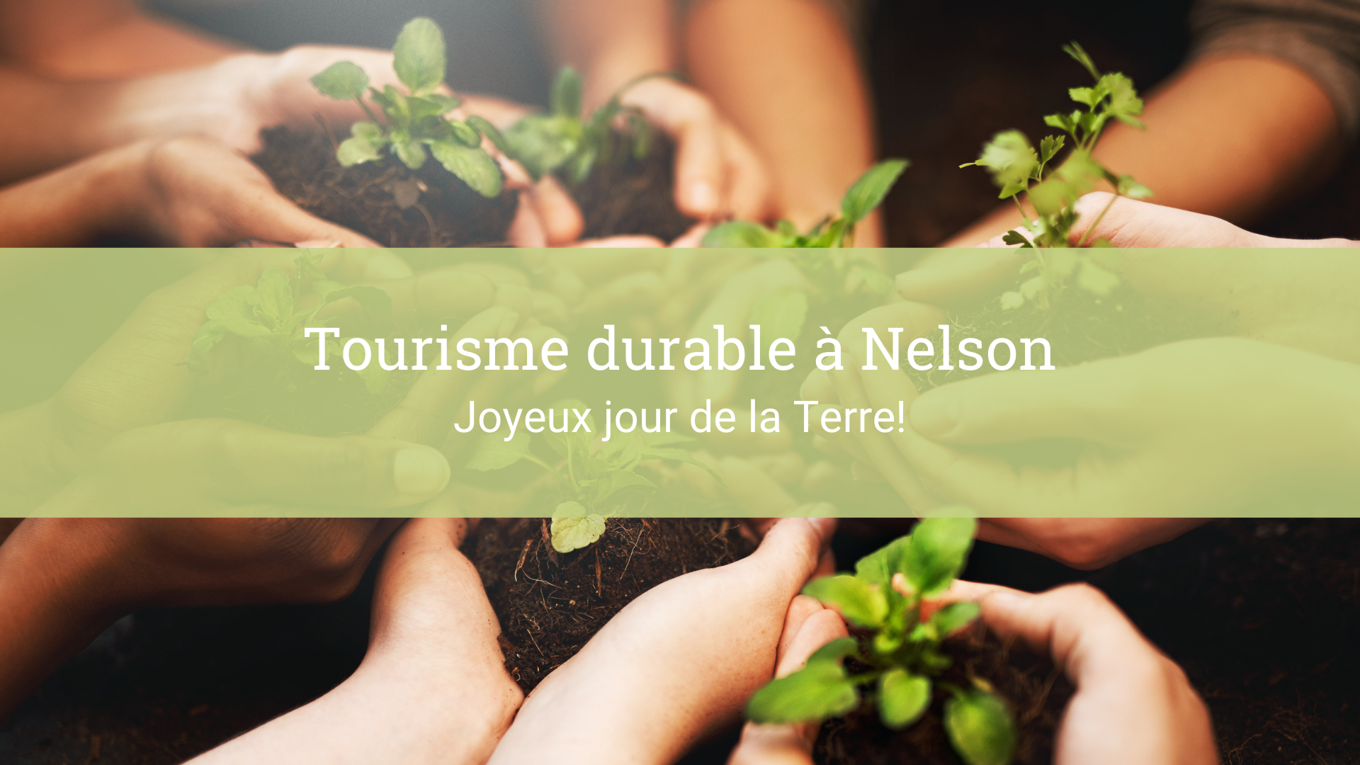 Tourisme durable a Nelson